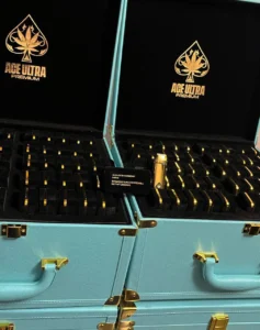 Ace Ultra Premium Disposable Vape Minis Gen 4 (Master Box)