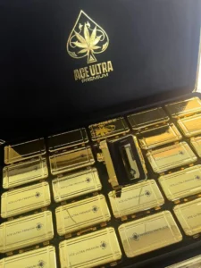 Henectus tincidunt - Image 4