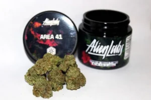 AREA 41 ALIEN LABS