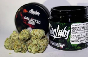 BISCOTTI X GUSHERS CONNECTED