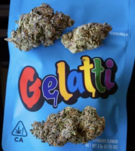 GELATTI STRAIN - Image 2