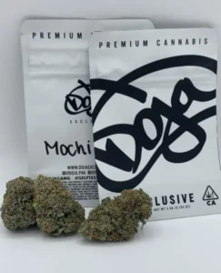 MOCHI DOJA - Image 2